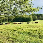 Srokowski Dwor 1 - Stara Kuznia - Prywatna Sauna ! *