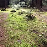 Srokowski Dwor 1 - Stara Kuznia - Prywatna Sauna !