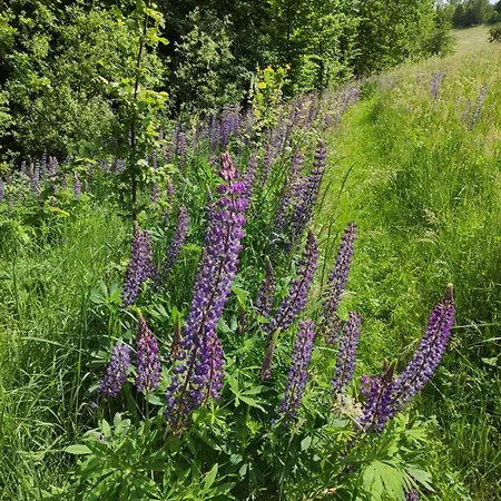 Holiday home Srokowski Dwor 1 - Stara Kuznia - Prywatna Sauna ! *