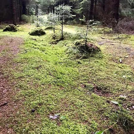 Srokowski Dwor 1 - Stara Kuznia - Prywatna Sauna !